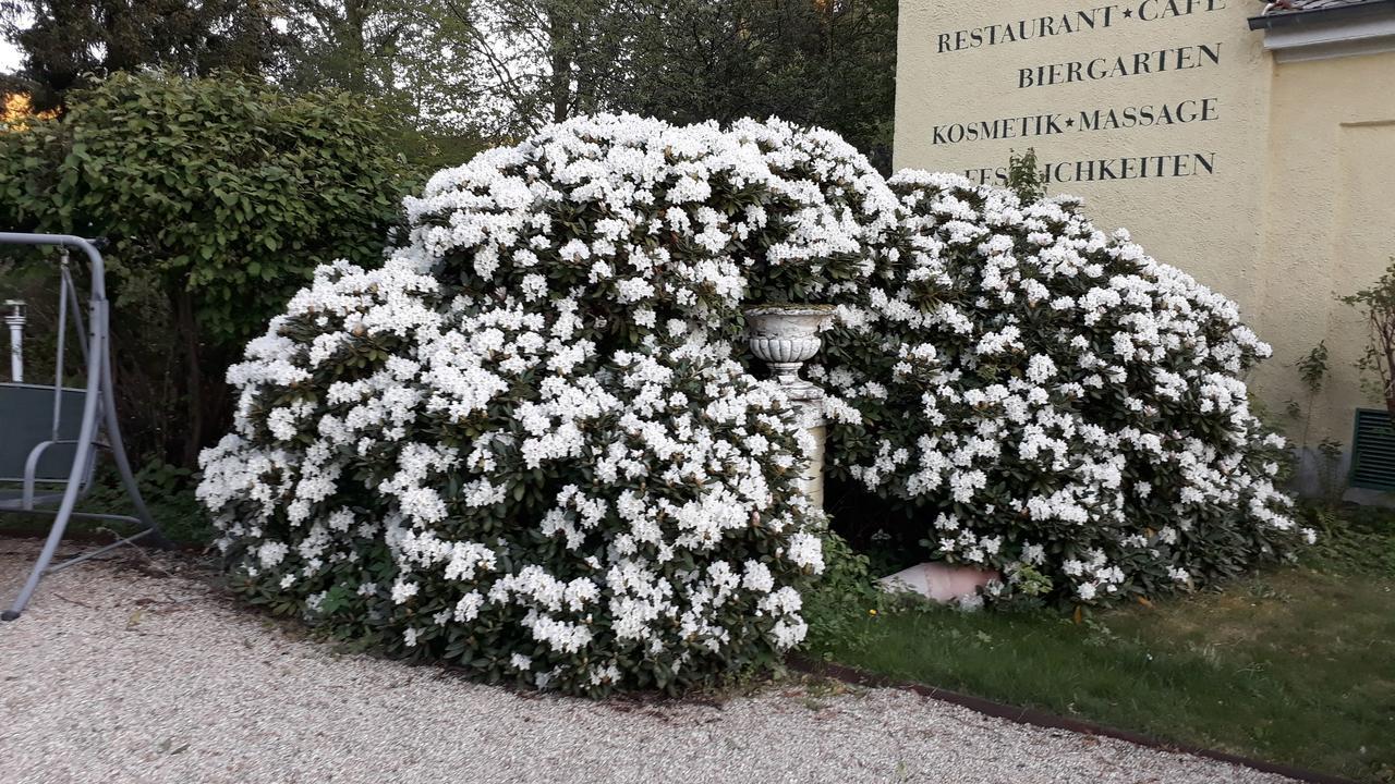 Hotel Quellenpark Bad Elster Exterior photo